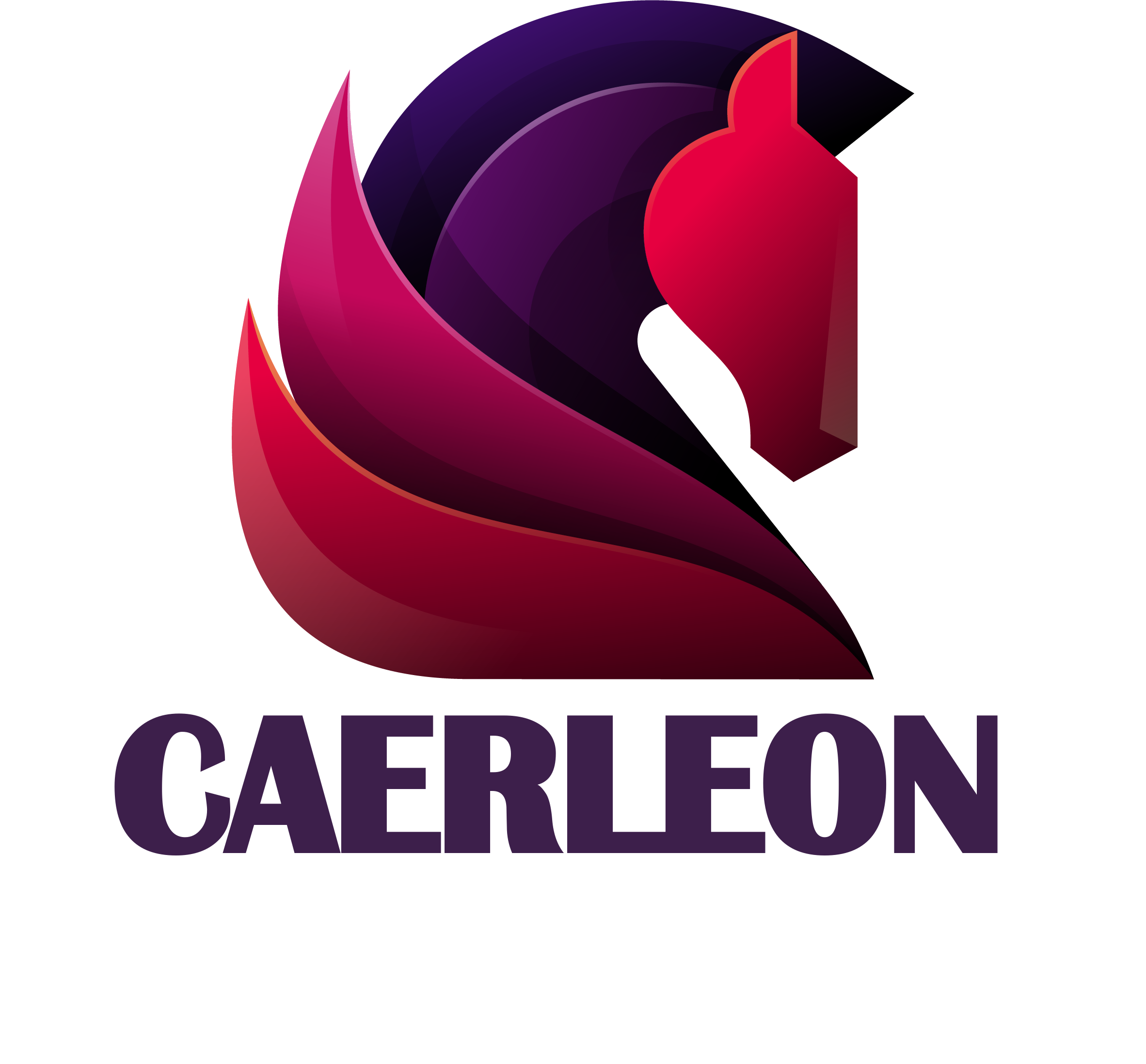 Caerleon Consulting